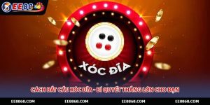 Cách Bắt Cầu Xóc Đĩa - Bí Quyết Thắng Lớn Cho Bạn