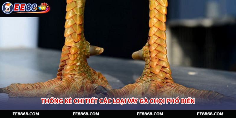 Thống kê chi tiết các loại vảy gà chọi phổ biến
